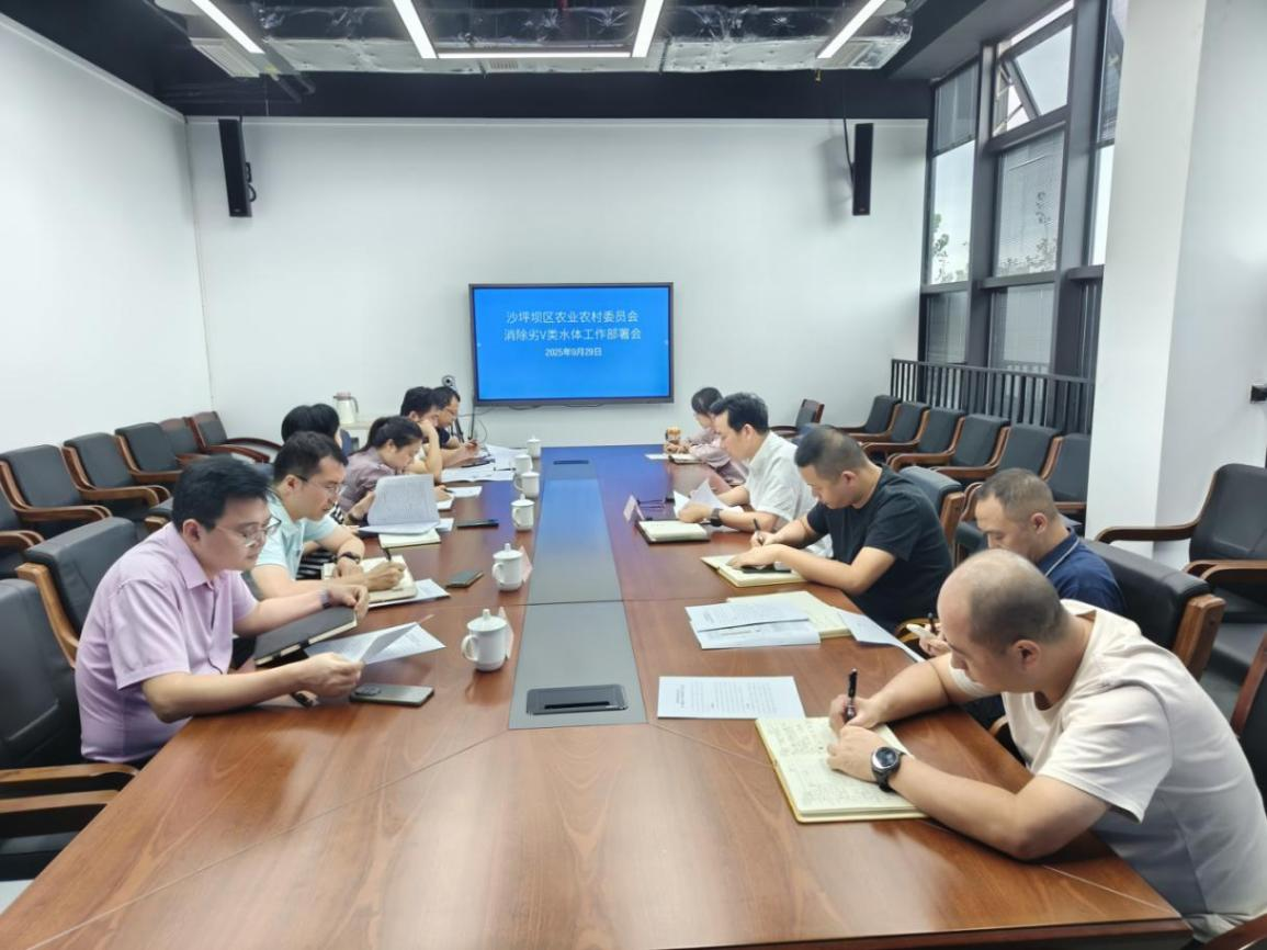 沙坪坝区召开消除劣V类水体工作部署会