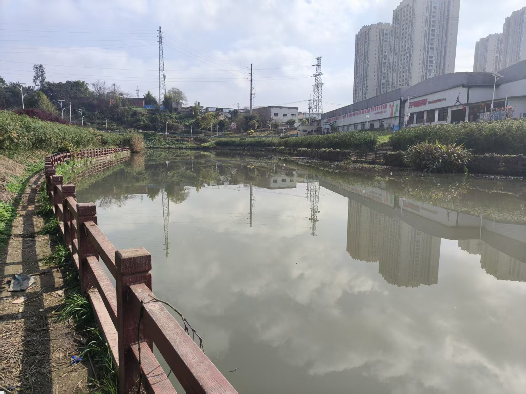 区农业农村委检查梁滩河流域水葫芦清理工作