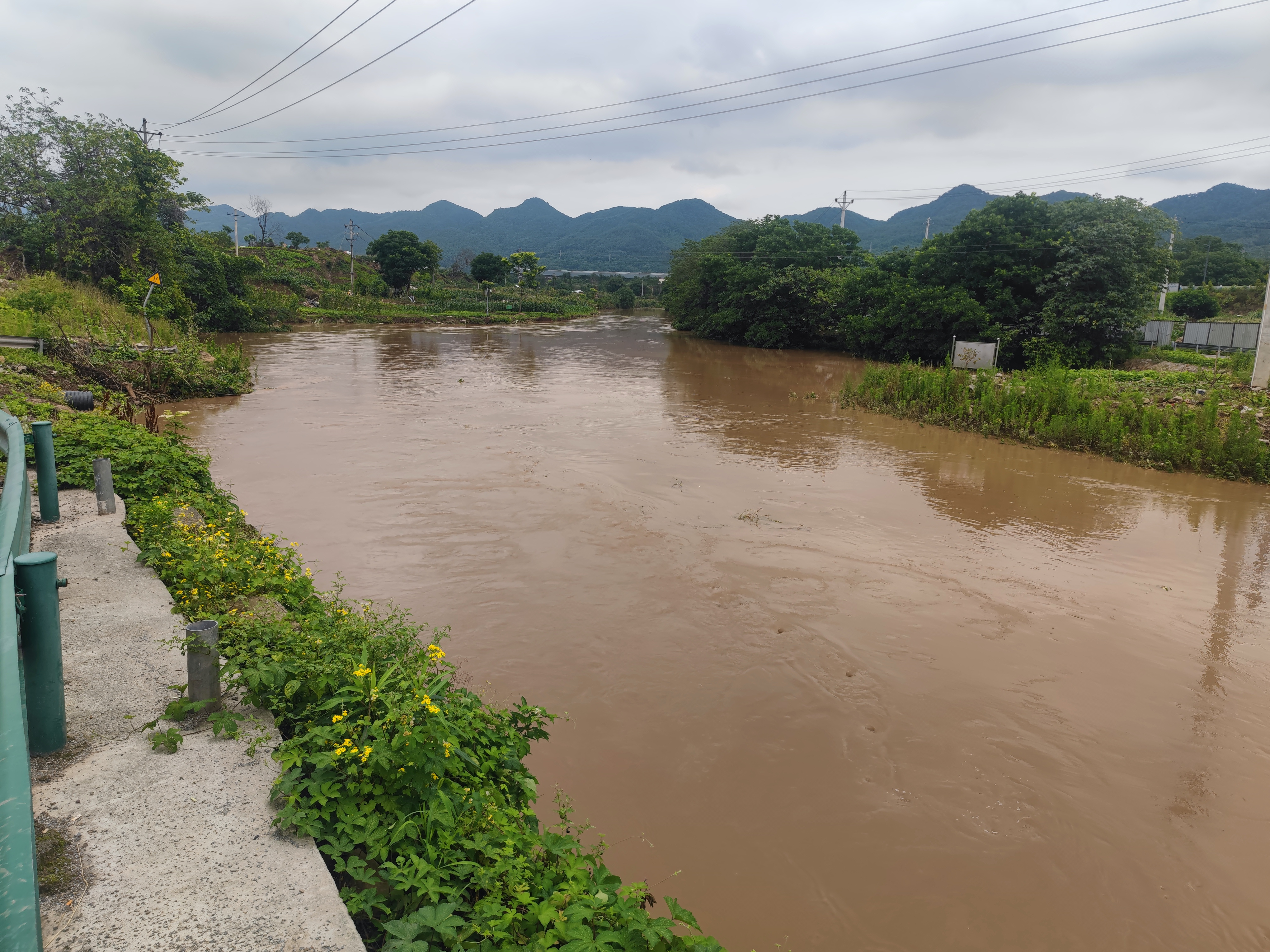 细化举措 严密防范 全力应对本轮强降雨及嘉陵江涨水过程