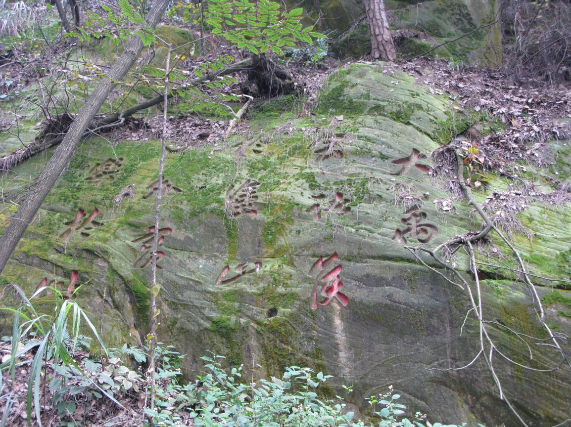 区文管所完成第四批市级文物保护单位申报工作 (2).jpg