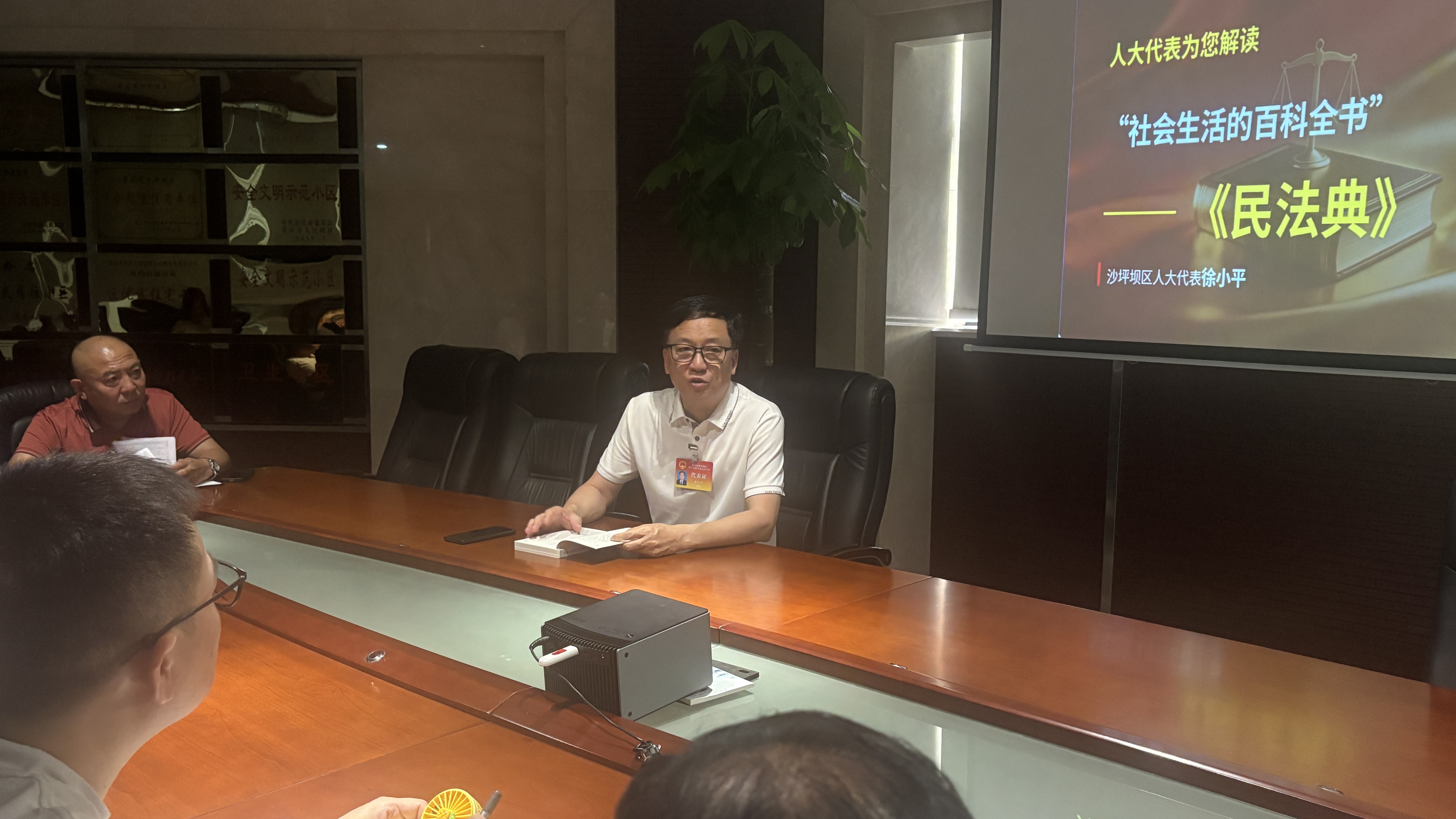 覃家岗街道新鸣社区开展“社会生活的百科全书——《民法典》”专题普法宣讲活动