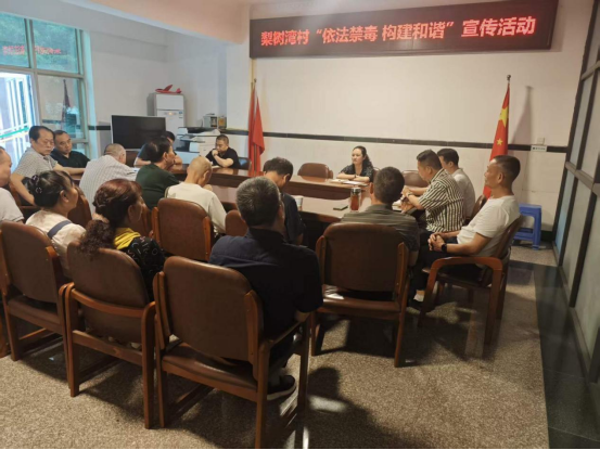 覃家岗街道梨树湾村：禁毒宣传进乡村，筑牢基层“防毒墙”