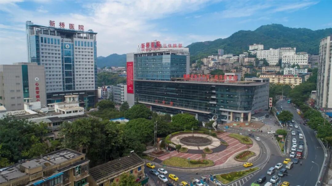 重庆市首个！落地沙坪坝