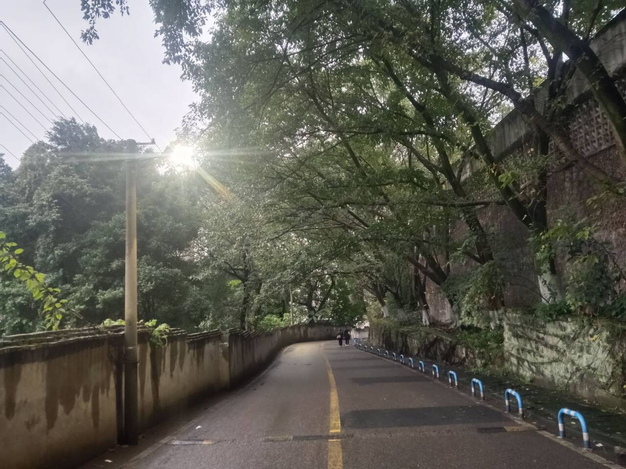 冒雨抢修路灯电缆   全力恢复道路光明