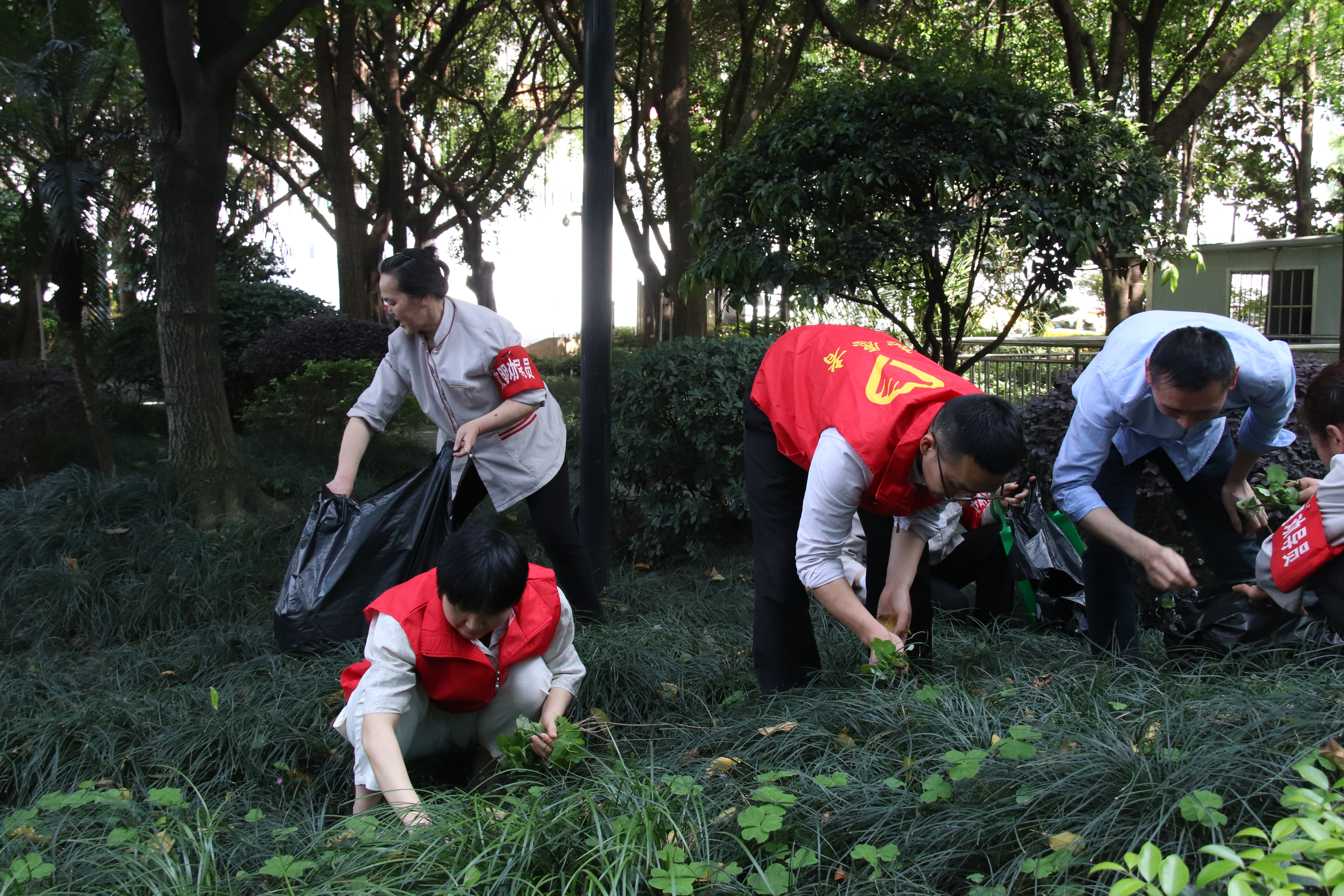 沙坪坝区机关事务管理局开展学雷锋志愿服务活动