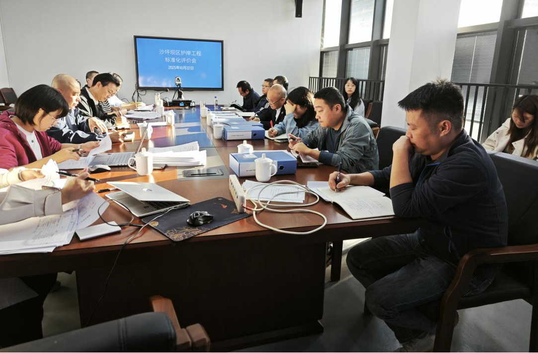 沙坪坝区开展3级及以上护岸工程标准化管理市级评价