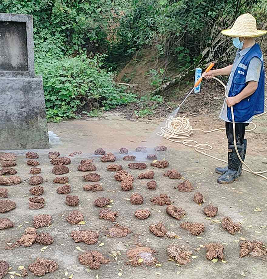扎实推进白蚁防治 保障水利工程安全.png
