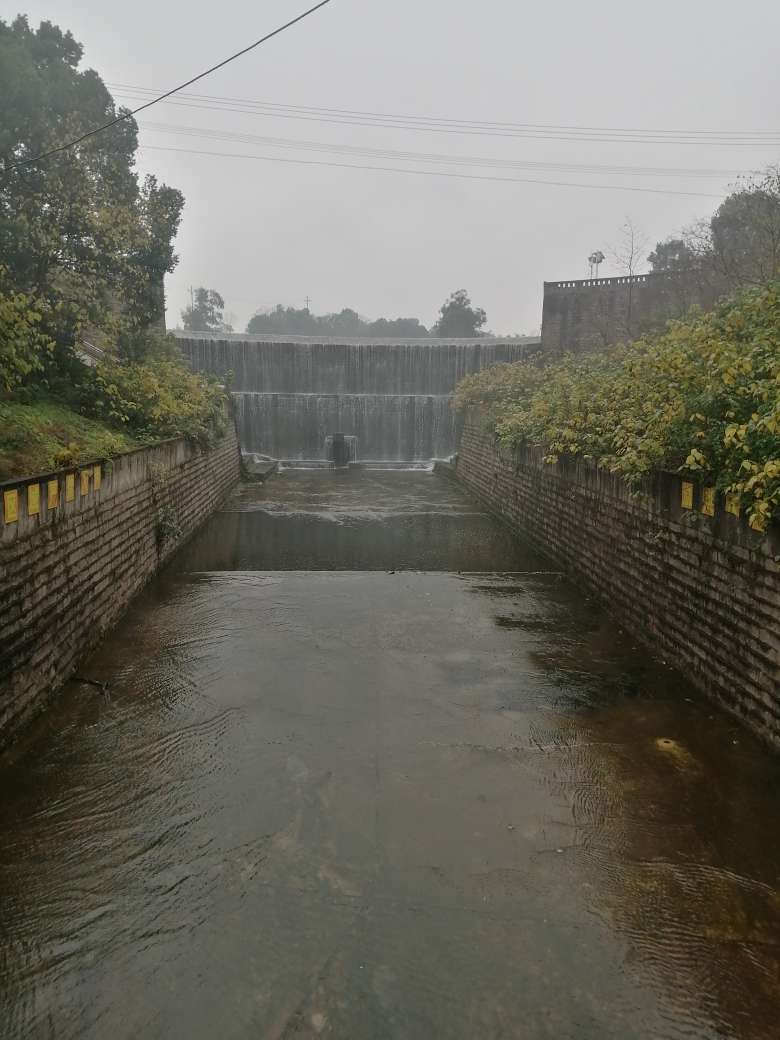 研讨淤积物处置 共商资源化路径1.jpg