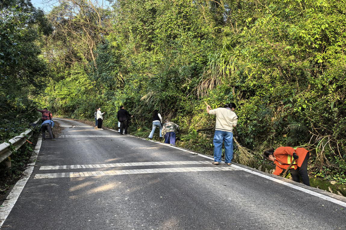 丰文街道持续推进农村地区人居环境整治工作