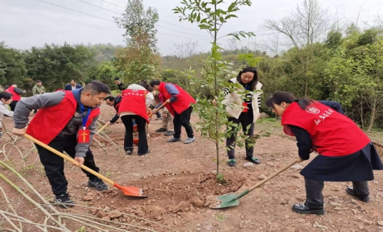 回龙坝镇：梁滩桥村开展义务植树活动