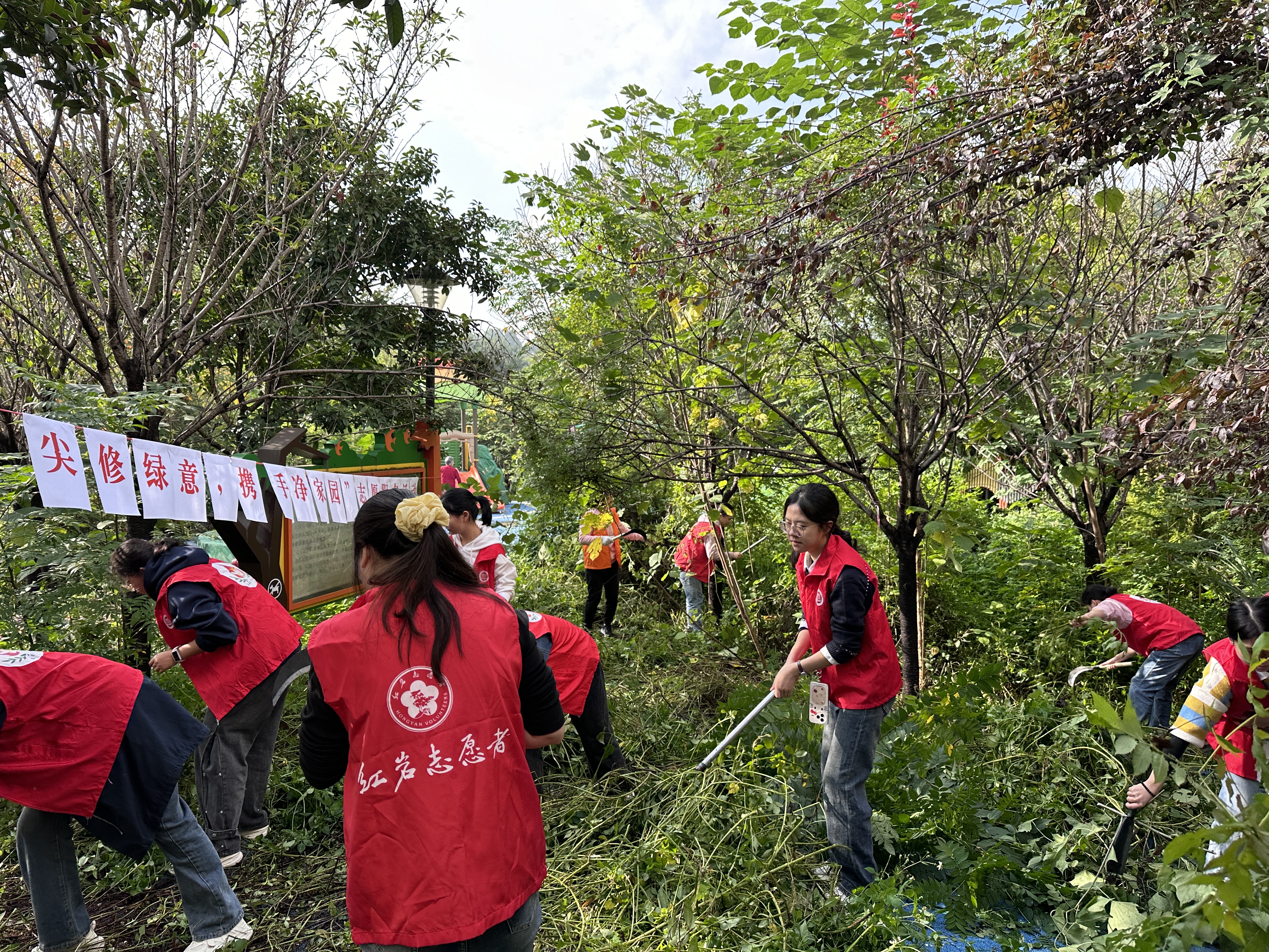 石井坡街道建设坡社区开展“指尖修绿意，携手净家园”志愿服务活动