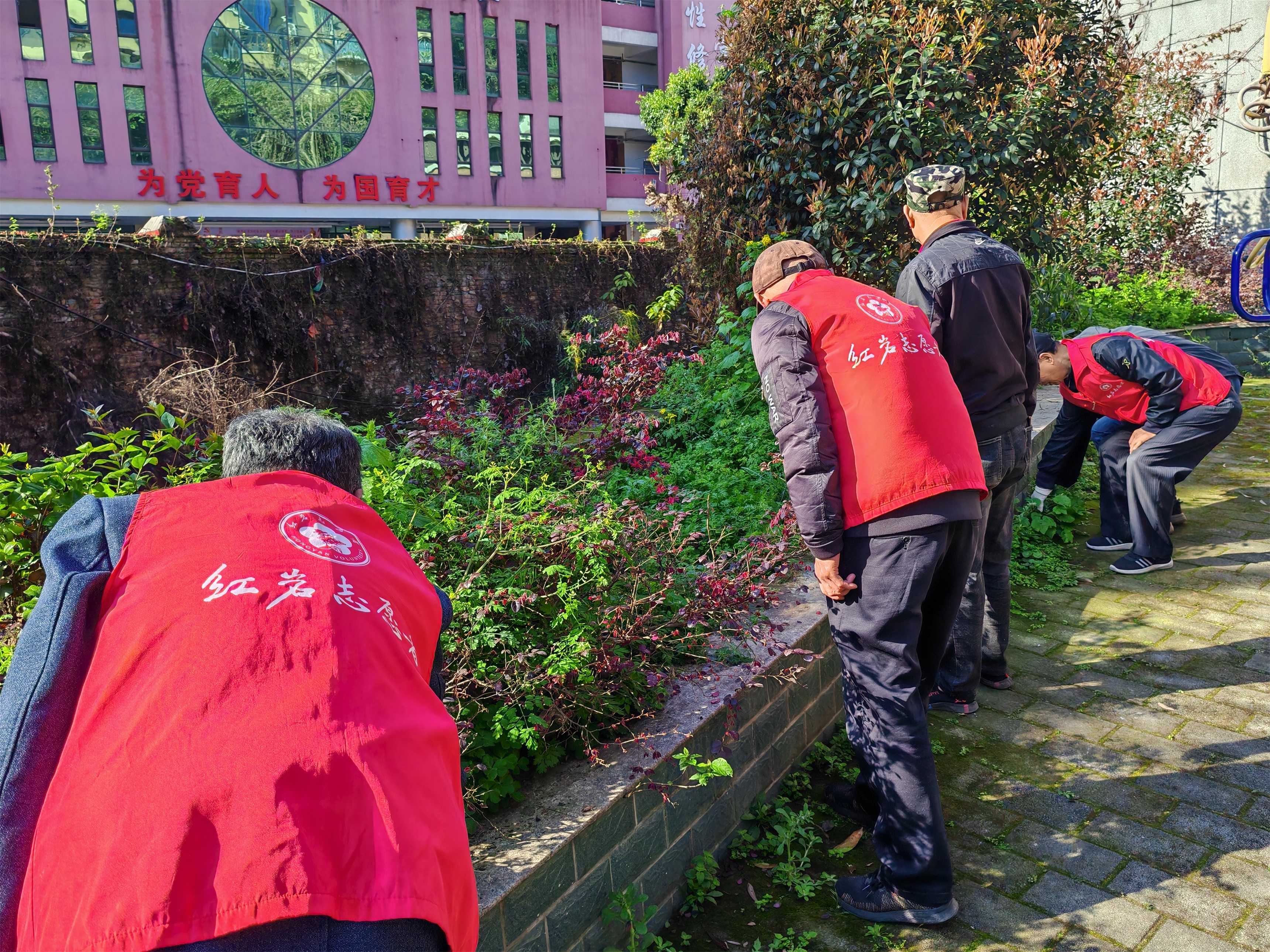 和3.10-石井坡街道和平山社区组织退役军人开展拔草护绿志愿服务活动.jpg