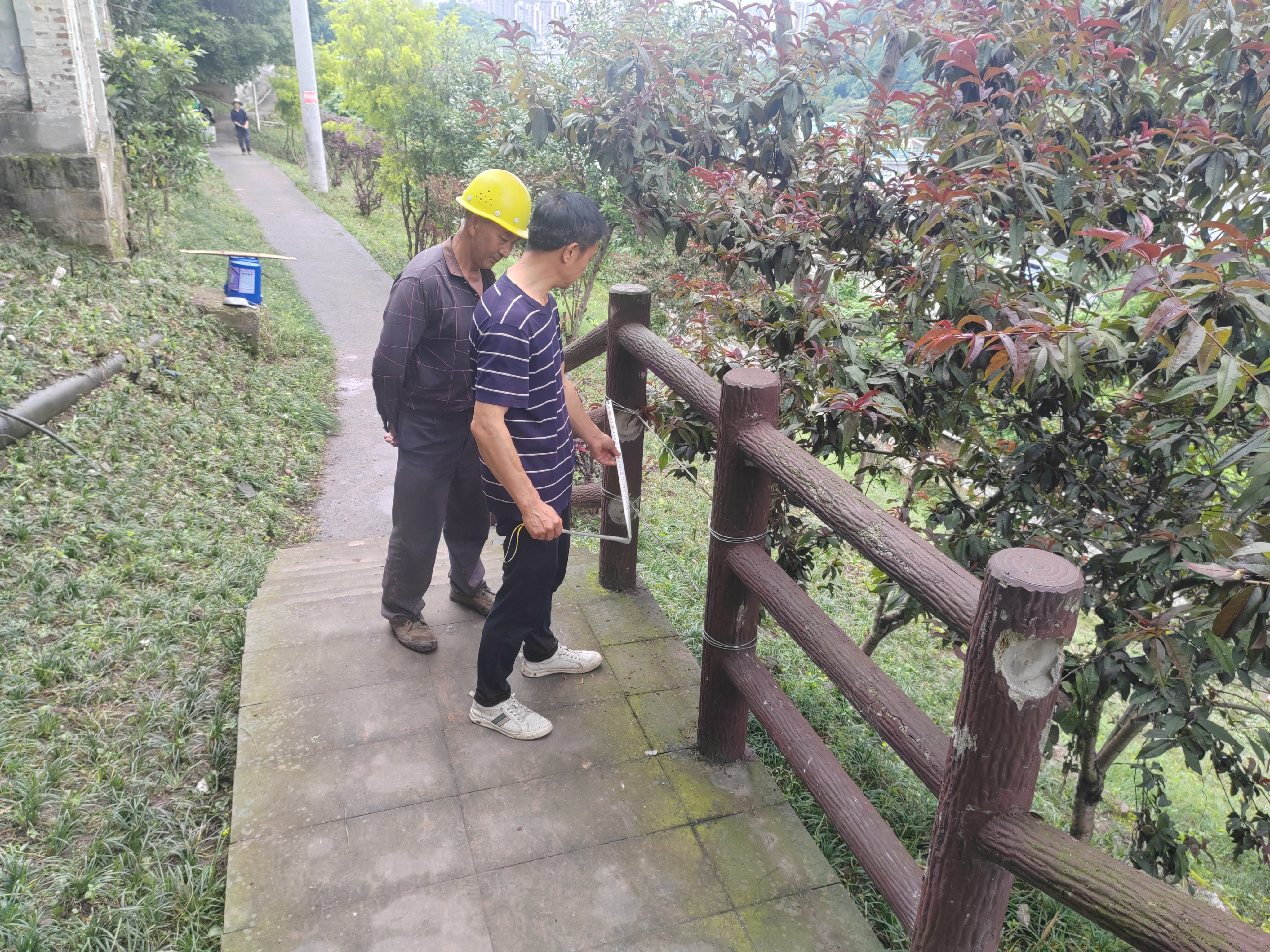 新桥街道三维发力抓实城市管理质效