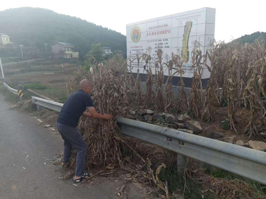 中梁镇：整治环境 擦亮乡村“颜值”